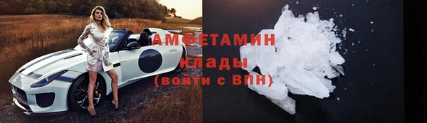 прущие грибы Заволжск
